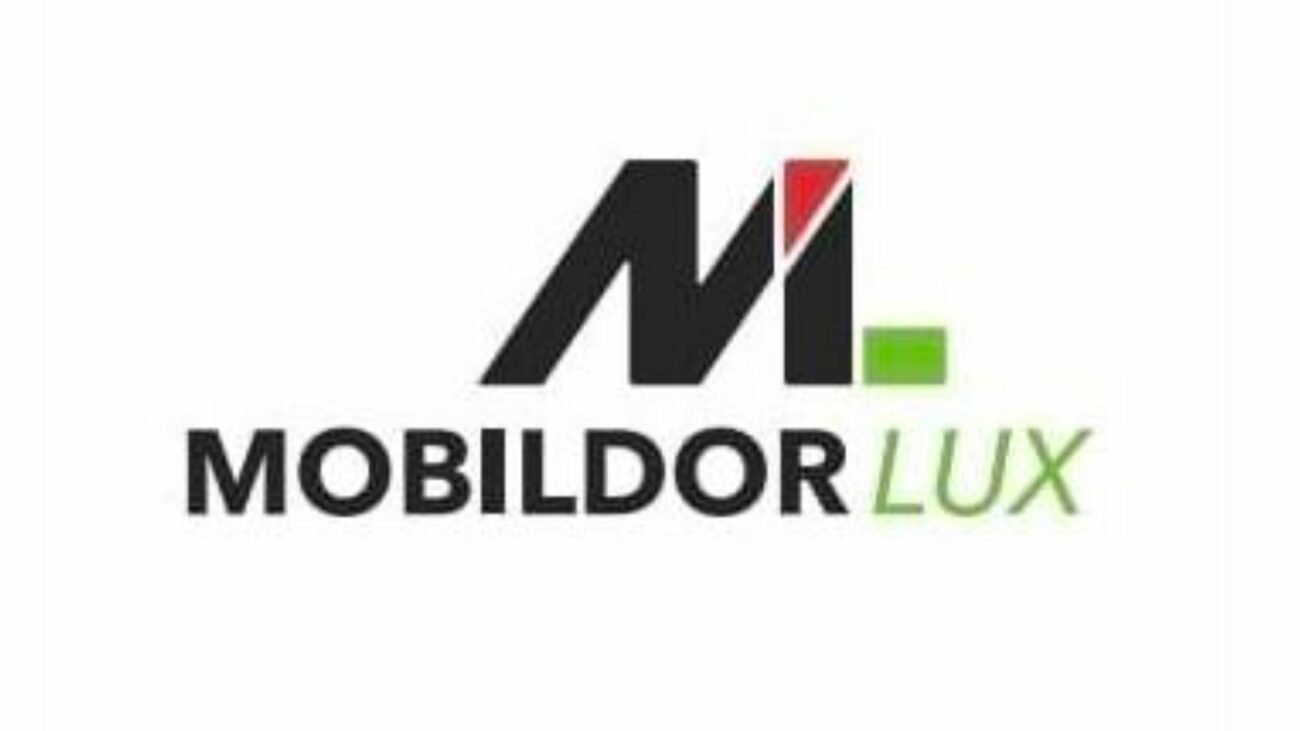 MobilDor logo chisinau moldova cronix
